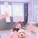 독 블레스 유 이미지