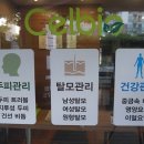 (주)셀비오 이미지