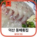 덕산활어횟집 네이버블로그