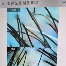 에이스테이션 이미지