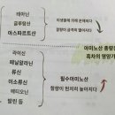 4장 6대차류 풍미 인자의 형성 142p수정 이미지