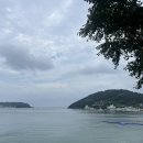 멍캐슬 | [공지] 거제 매미성 달라진점 : 매미캐슬 카페와 주변 경치