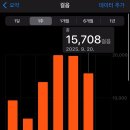 든해센트럴아파트 | 25/9/20 뉴욕 5일차_써밋전망대/그랜드센트럴/모마/탑오브더락/루프탑바