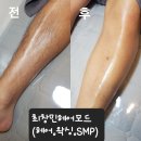 최창민헤어모드