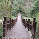 옥천밸리 이미지