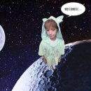 해바