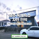 자현 민박 이미지