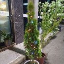 그린족발 | 순천 오천동 오천그린광장 5분거리 족발보쌈맛집 '족발이땡긴다' 방문후기