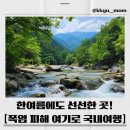 여름에도 시원한 국내 여행지 BEST 10, 폭염 피해 떠나는 쿨케이션