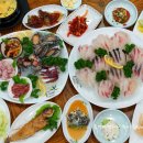 주작산 휴양림 Daum카페