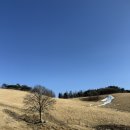 하당농장 | 강릉 가기 전 들리기 좋은 대관령 겨울 여행 코스｜양떼목장, 실버벨교회