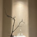 중앙대로 | 대구 슬로우터틀 중앙대로점, 케이크 디저트 메뉴 및 가격