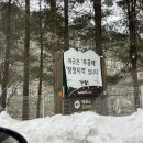 여행기록 / 겨울 강원도여행 Day2 (삼양라운드힐 주말 오픈런, 평창카페 내돈내산 추천)