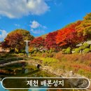 제천 배론성지 단풍명소 실시간 현황 주차 포토존 충북 가을여행 가볼만한곳