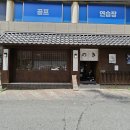 노키 | 대구 일식 맛집 노키 니쿠텐동 김치카츠나베 후기 & 호미담 망고찹쌀떡 리뷰 (메뉴, 주차 정보)