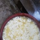 오늘은두부 이미지