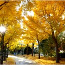 문태고등학교 이미지