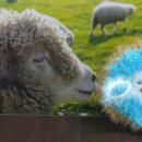 양수목장 이미지