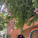 3박5일] 더 아남 리조트 (The Anam Resort) , 객실 및 수영장, 부대시설 후기, 더 아남버거 ｜ 올라카페
