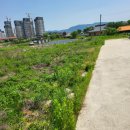 성본3리 이미지