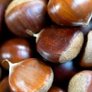 창영농원 이미지