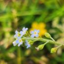 남고세탁소 이미지