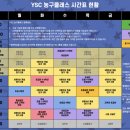 YSC(와이에스씨) 이미지