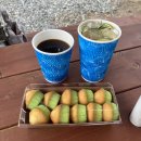 카르멜 인 포레스트 이미지