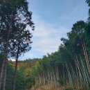 거제힐스토리키즈풀빌라 이미지