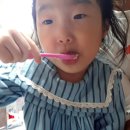 할리스화성융건릉점 | 화성융건릉 카페 할리스커피 : 우리 눈꽃 팥빙수, 포장 후기