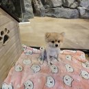 [서울/홍대] 비 오는 날 데이트 코스 추천! 실내 동물원 &#39;테이블 에이&#39;🦝🐱🦜