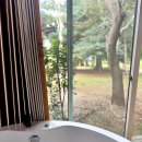 덕산 온천탕 이미지