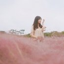 꽃밭거랑민박 | 9월 말, 핑크뮬리 보러 경주 여행 왔어요 ! 첨성대 꽃밭과 날씨 ✨