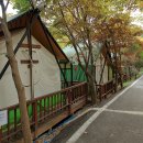 싱싱당구장 이미지