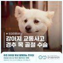 명덕동물병원 이미지