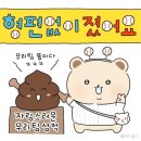 펄스맥 연구단지점 | 2026.05.23) 한화이글스볼파크 직관 돗자리석 밤켈존 500구역 4열, 37-40번 두산베어스 VS 한화이글스...