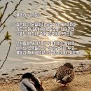 꿀봄 티스토리
