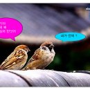 지예상사