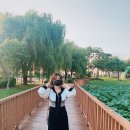 미드바르 이미지