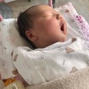 창원2 | 진해 온산후조리원 2주 마사지 이용 후기 (창원누비전 결제)