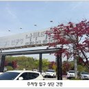 물자리매운탕 이미지