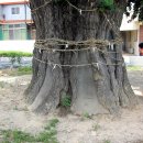 노당1리 이미지