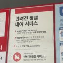 아름켄넬 이미지