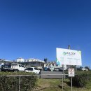 대한메디칼 | [호주 워홀 + 20days] 킬코이 육공장 메디컬 테스트 탈락 후기. 육공장에 대한 생각