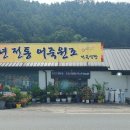 금산식당 이미지