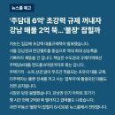 윤정권, 집값 떠받치기 대출 100조 / 아파트는 끝났다/ 이제 수도권 주담대 ‘최대 6억’/ 강남 매물 하루만에 2억 하락 이미지