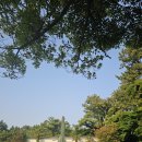 그리고세화게스트하우스 | 제주세화숙소 제주 오름게스트하우스 내돈내산 다녀온 후기