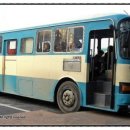 비에스정형외과의원 이미지