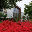 하랑유치원 이미지