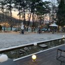 청주브런치카페 애견동반이 가능한 블란서커피